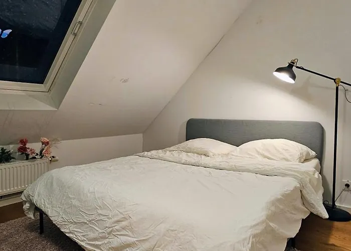 Stadtwohnung 110qm Mit Dachterrasse Ueber Zwei Etagen * Düsseldorf